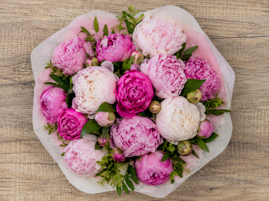 Bouquet de pivoines